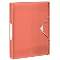 Esselte 626263 - Carpeta de proyectos COLOURICE PP lomo 40 mm DIN A4 color albaricoque